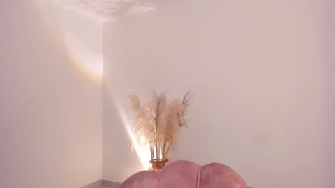 Kim Murphy online show from 24, 2, 2026