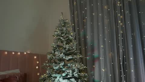 Snapshot of kim_oberlin chatting on 30, 12, 2024 Kim Oberlin online show from 30, 12, 2024