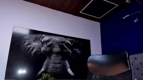 Angel Falconer online show from 15, 1, 2026