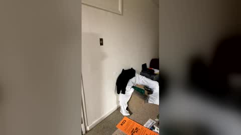 kingecstasyxxxddd online show from 16, 1, 2026