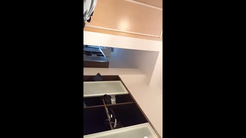 Snapshot of kingnavo chatting on 7, 11, 2025 kingnavo online show from 7, 11, 2025