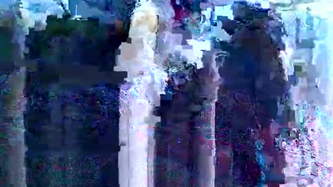 Snapshot of kinkygurl6969ts chatting on 17, 2, 2025 KinkySlut4Fun online show from 17, 2, 2025