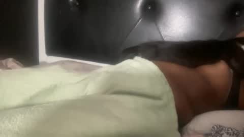 Bunniii online show from 3, 2, 2025