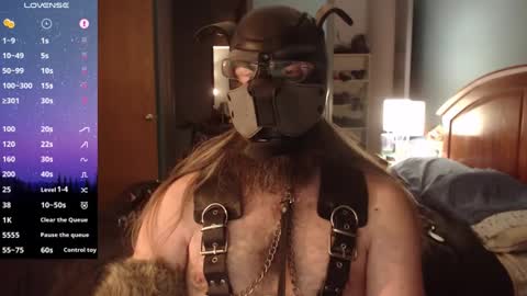 Snapshot of kinkywolf87 chatting on 5, 12, 2024 kinkywolf87 online show from 5, 12, 2024