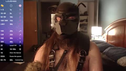 Snapshot of kinkywolf87 chatting on 9, 12, 2024 kinkywolf87 online show from 9, 12, 2024