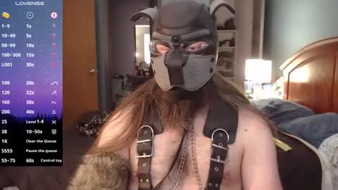 Snapshot of kinkywolf87 chatting on 21, 12, 2024 kinkywolf87 online show from 21, 12, 2024