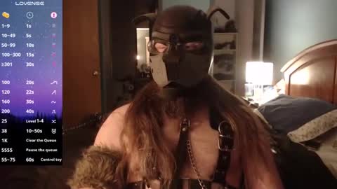 Snapshot of kinkywolf87 chatting on 31, 12, 2024 kinkywolf87 online show from 31, 12, 2024