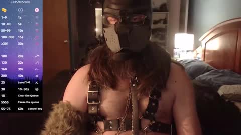 Snapshot of kinkywolf87 chatting on 6, 2, 2025 kinkywolf87 online show from 6, 2, 2025