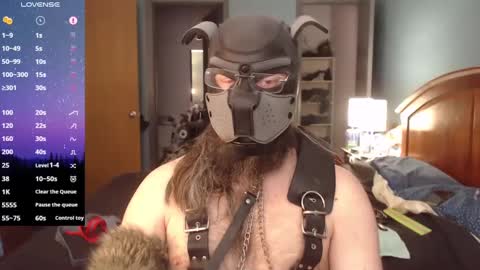 Snapshot of kinkywolf87 chatting on 27, 2, 2025 kinkywolf87 online show from 27, 2, 2025