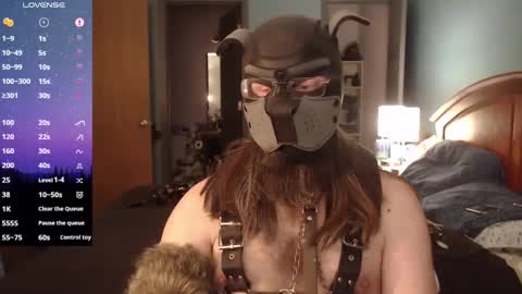 Snapshot of kinkywolf87 chatting on 2, 3, 2025 kinkywolf87 online show from 2, 3, 2025