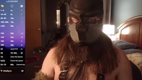 Snapshot of kinkywolf87 chatting on 6, 3, 2025 kinkywolf87 online show from 6, 3, 2025