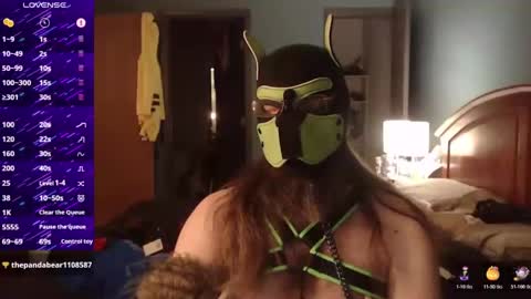 Snapshot of kinkywolf87 chatting on 19, 10, 2025 kinkywolf87 online show from 19, 10, 2025