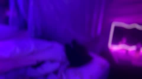 Kissah Kreampuff online show from 9, 1, 2026