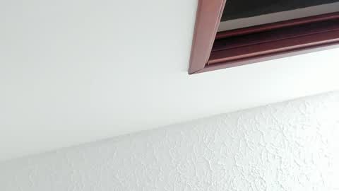 Snapshot of kissmesara chatting on 27, 2, 2026 Sara online show from 27, 2, 2026