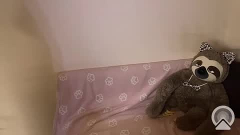 kitiket1 online show from 11, 2, 2025