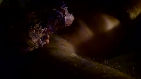 Snapshot of kitkat_loco1 chatting on 3, 11, 2025 Kitkat loco online show from 3, 11, 2025