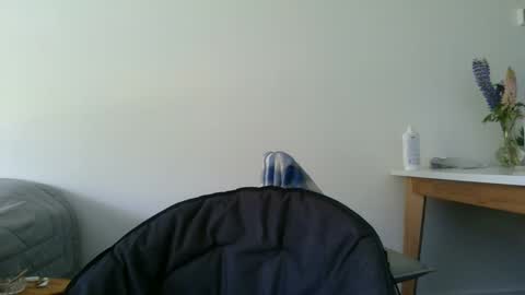 Steve Cocks online show from 11, 12, 2024