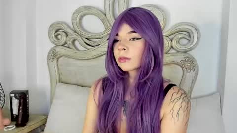 kitty cat 7 online show from 17, 7, 2026