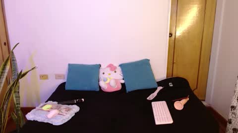 Snapshot of kittycatw chatting on 5, 11, 2025 LAURA help me reach 100likes online show from 5, 11, 2025