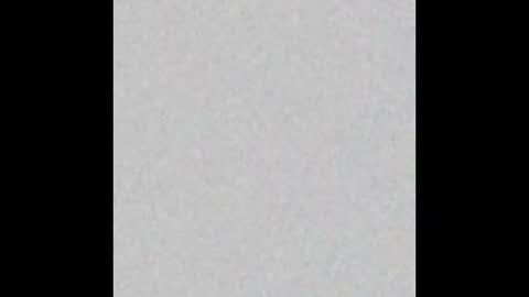  K I T T  Y  online show from 4, 3, 2025