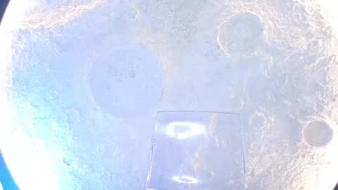 K L O E online show from 15, 9, 2025