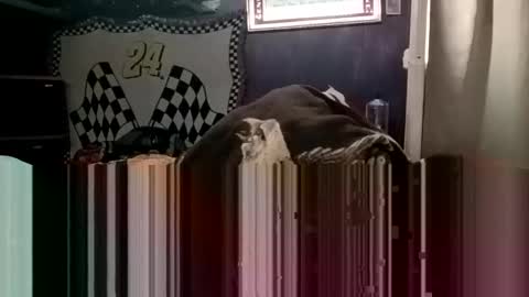 Snapshot of knock2wice1975 chatting on 20, 1, 2025 knock2wice1975 online show from 20, 1, 2025