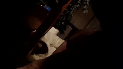 koekerdt online show from 31, 1, 2025