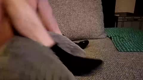 Snapshot of koelie1982 chatting on 19, 12, 2024 koelie1982 online show from 19, 12, 2024