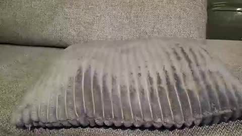 Snapshot of koelie1982 chatting on 22, 1, 2025 koelie1982 online show from 22, 1, 2025