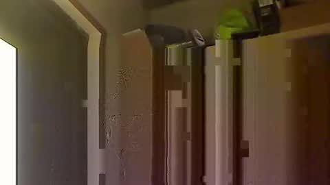 kokin3034 online show from 8, 10, 2025