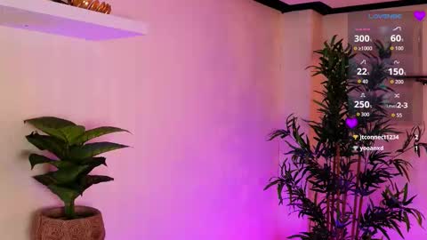 Kore online show from 1, 2, 2026