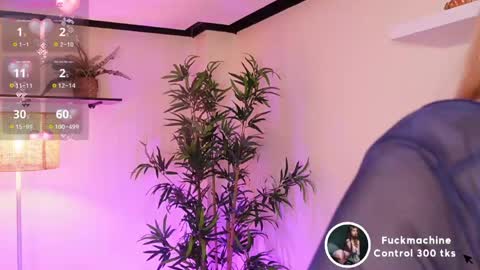 Kore online show from 2, 4, 2026