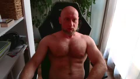 Kotylion online show from 17, 7, 2026