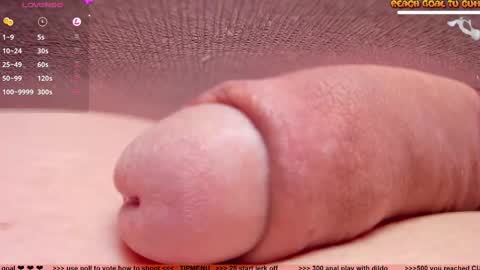 Petra online show from 11, 2, 2025