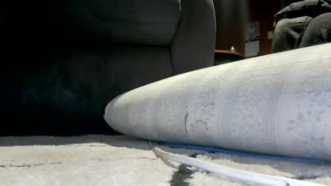 kpxrated online show from 18, 2, 2026