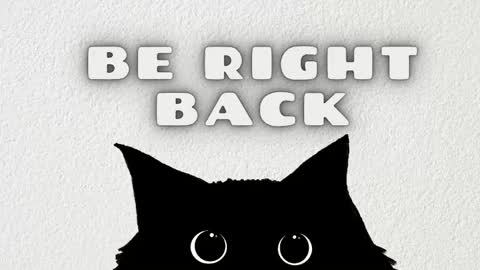   online show from 11, 4, 2026