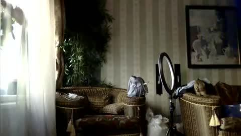 Snapshot of kristinalamour96 chatting on 19, 9, 2025 kristinalamour96 online show from 19, 9, 2025