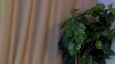 Snapshot of kristinedean chatting on 7, 12, 2024 Kristi online show from 7, 12, 2024