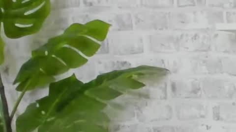 Snapshot of kristinedean chatting on 15, 12, 2024 Kristi online show from 15, 12, 2024