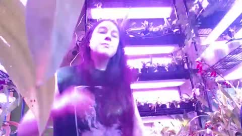 krookedorchid online show from 1, 11, 2025