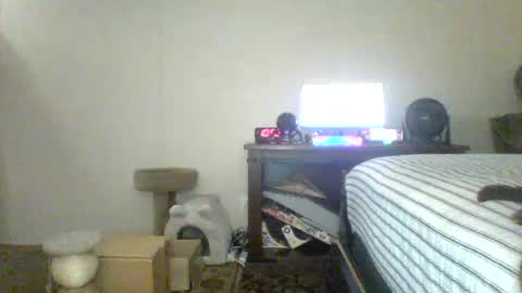 Snapshot of krystalizedkitsune chatting on 15, 7, 2026 krystalizedkitsune online show from 15, 7, 2026