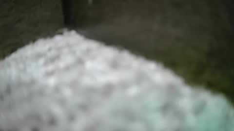 kvicali online show from 6, 4, 2026