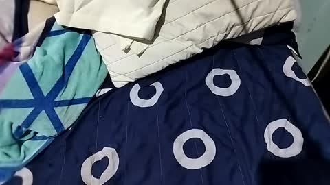 l0c0fundias online show from 13, 9, 2025