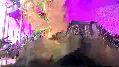 Lady Gloria online show from 25, 10, 2025