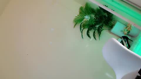 Stella online show from 27, 9, 2025