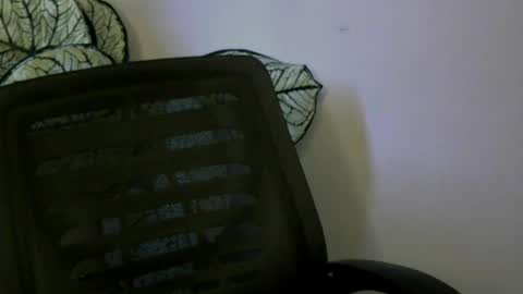 sexylila online show from 2, 8, 2026