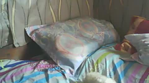 LadyXSnakes online show from 19, 2, 2025