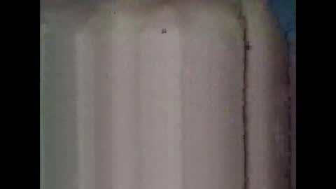 lafoxglam01 online show from 22, 11, 2025