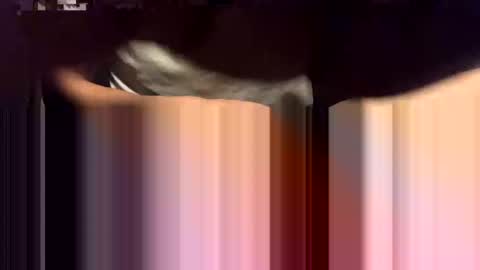 Snapshot of lalo112233vaz chatting on 16, 11, 2025 lalo112233vaz online show from 16, 11, 2025