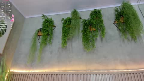 lana_lann online show from 10, 1, 2025